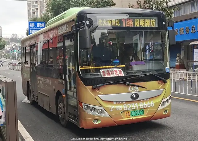 贵A 05992D