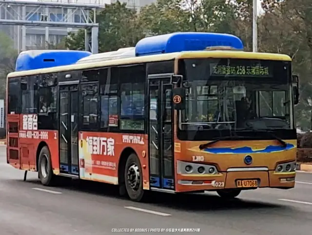 800BUS