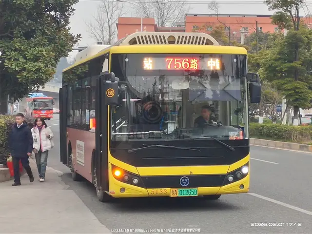 800BUS
