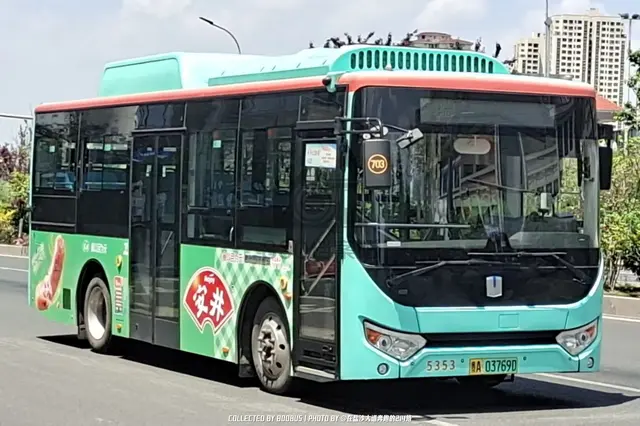 800BUS