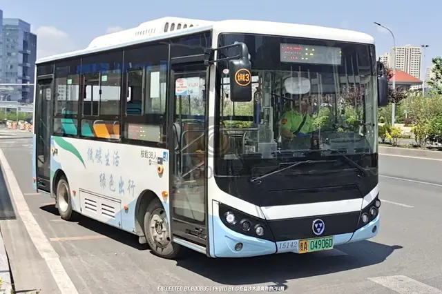 800BUS