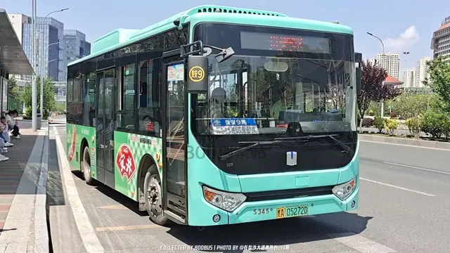 800BUS