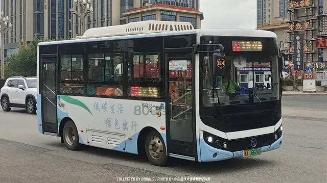 800BUS