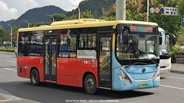 贵A 09919D
