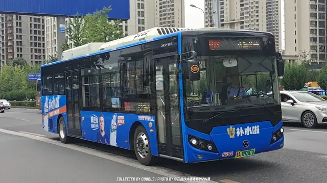 800BUS
