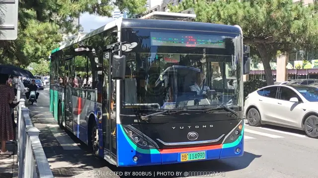 鲁B 11499D