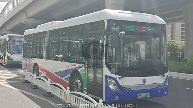 鲁B 11825D