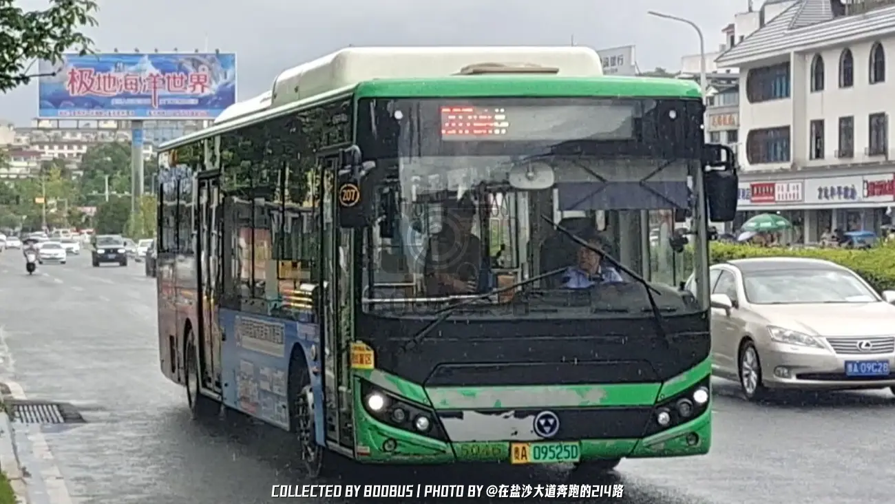 Bus Archive