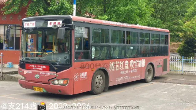 贵A U3666