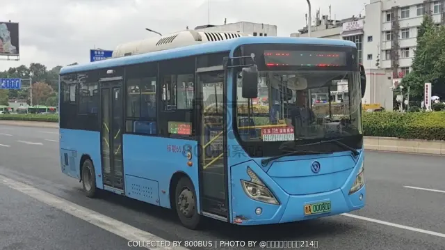 贵A 00080D
