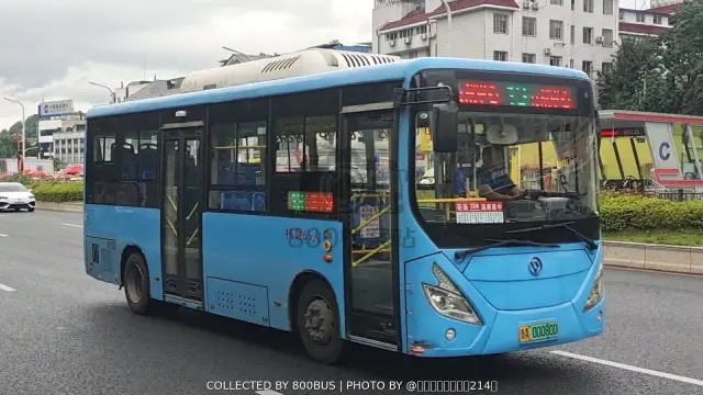 贵A 00080D
