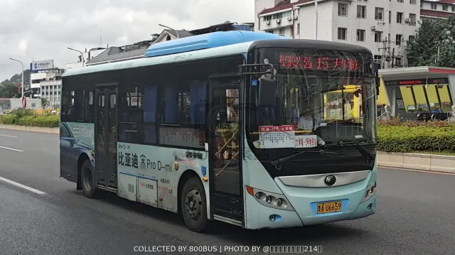 贵A U6659