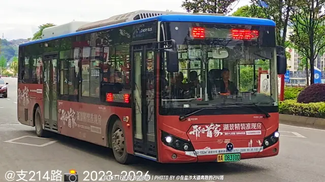贵A 08310D