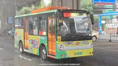 贵A 06155D