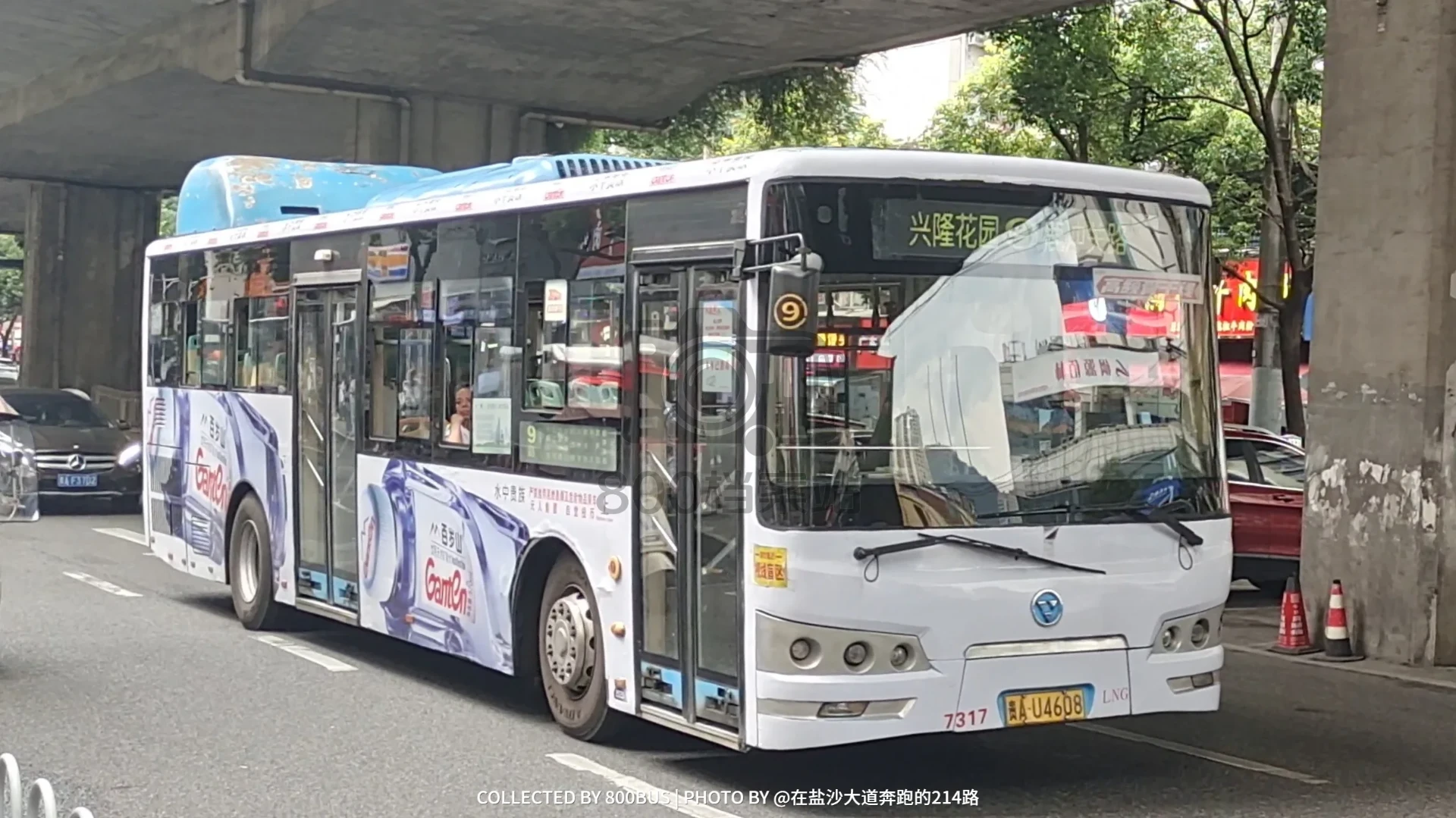 Bus Archive
