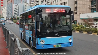 贵A 03384D