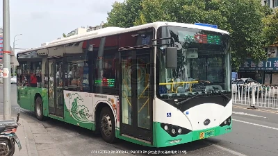 鲁B 19985D