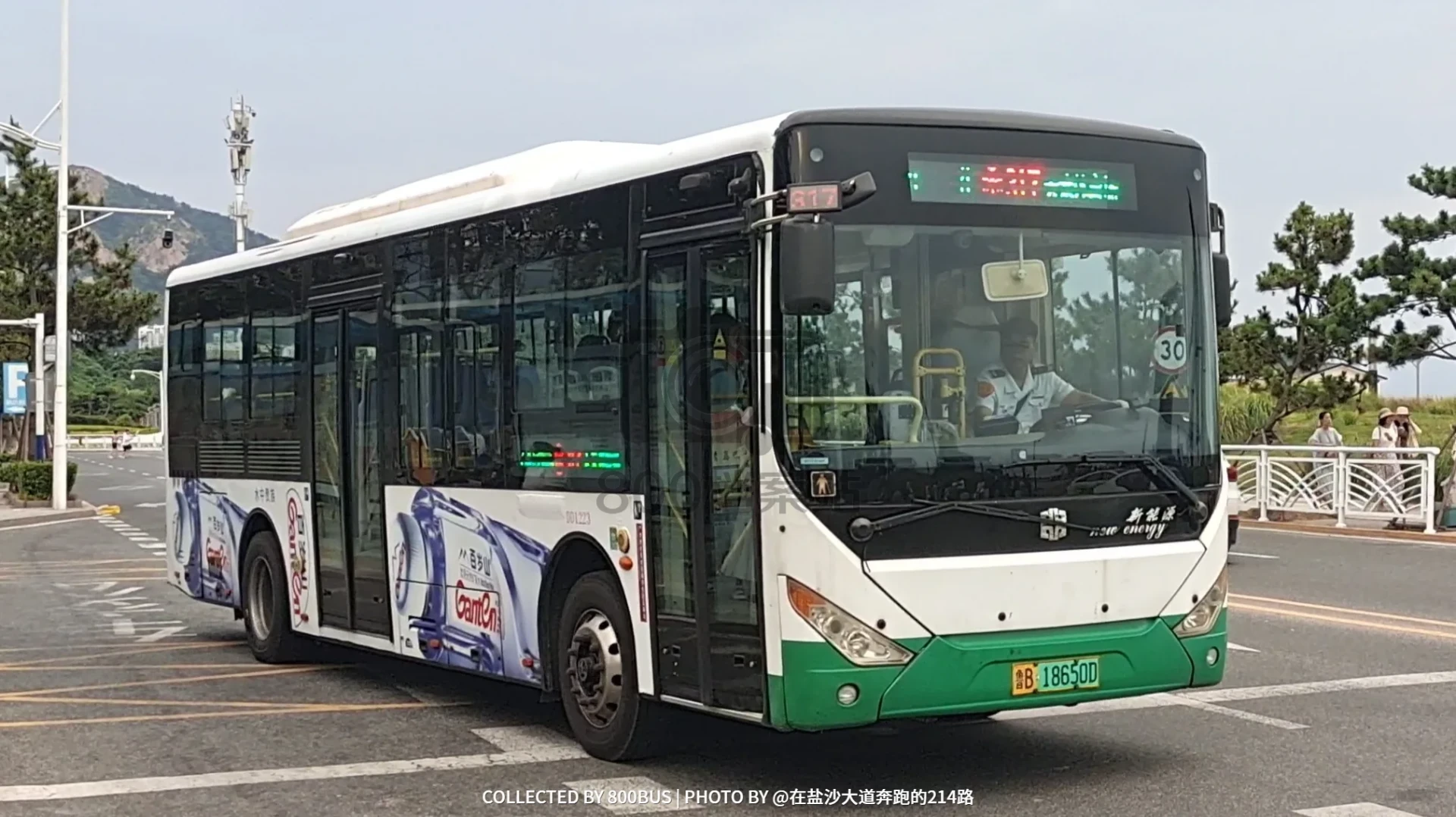 Bus Archive