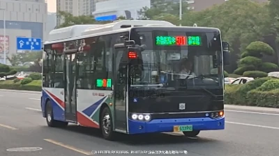 鲁B 63399D