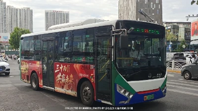 鲁B 15060D
