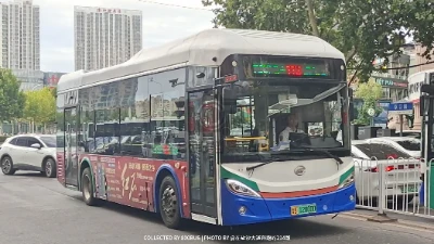 鲁B 12000D