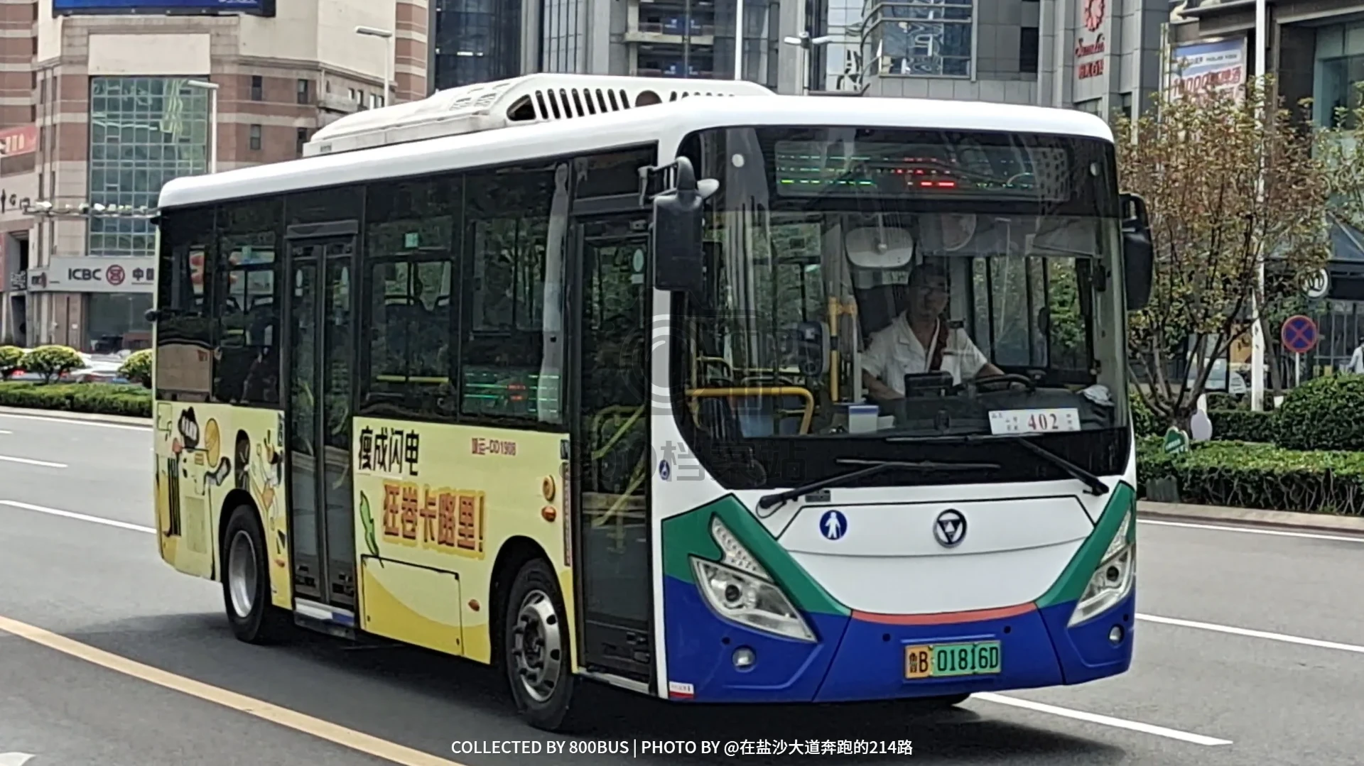 Bus Archive