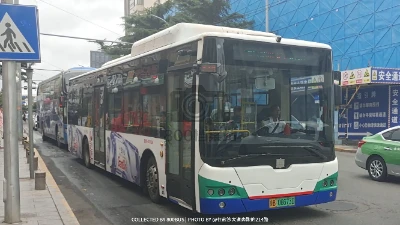 鲁B 06673D