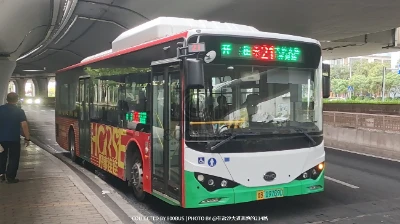 鲁B 19769D