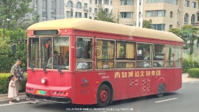 鲁B 09765D