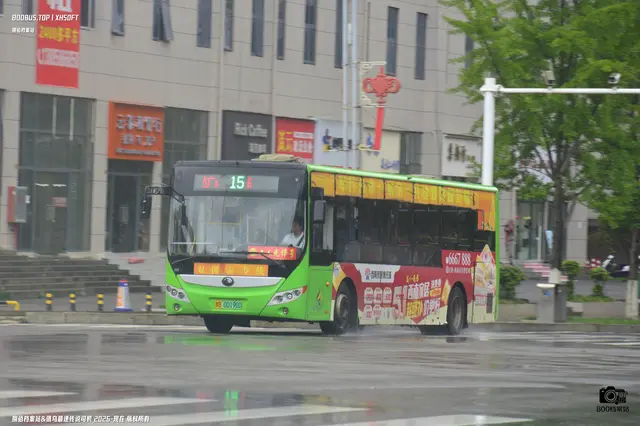 800BUS