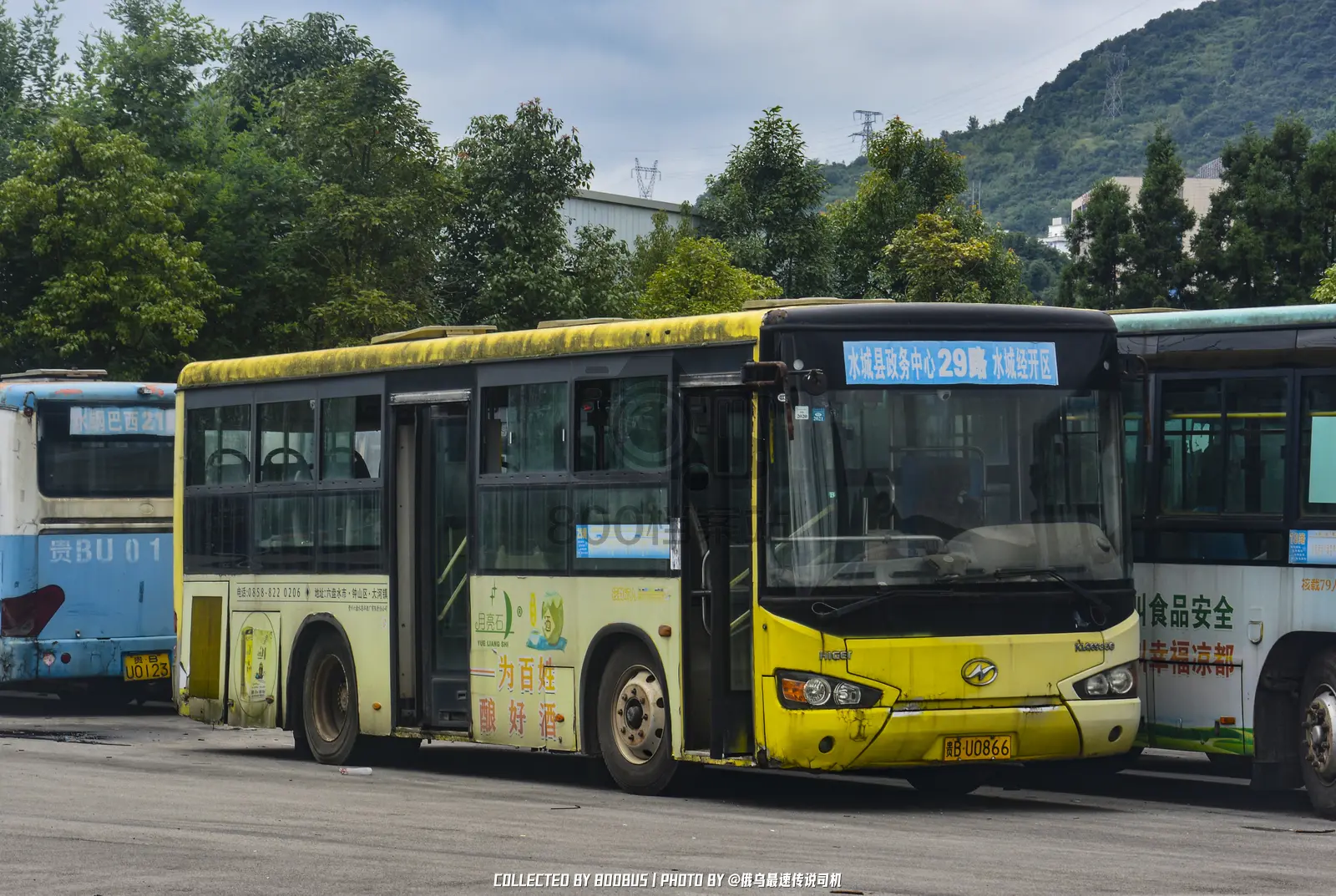 Bus Archive