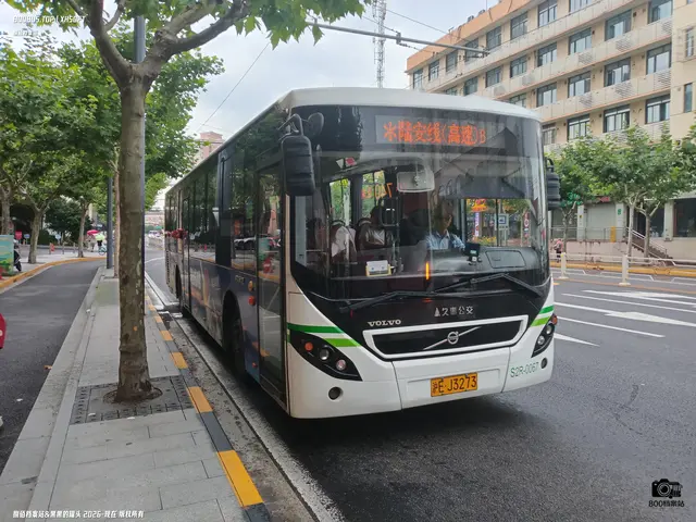 沪E J3273