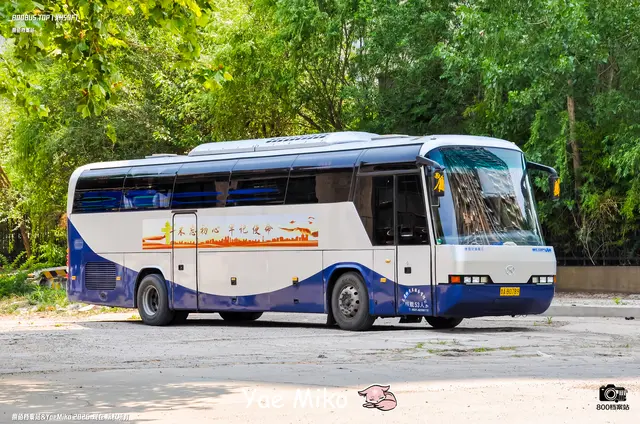 鲁A B0789