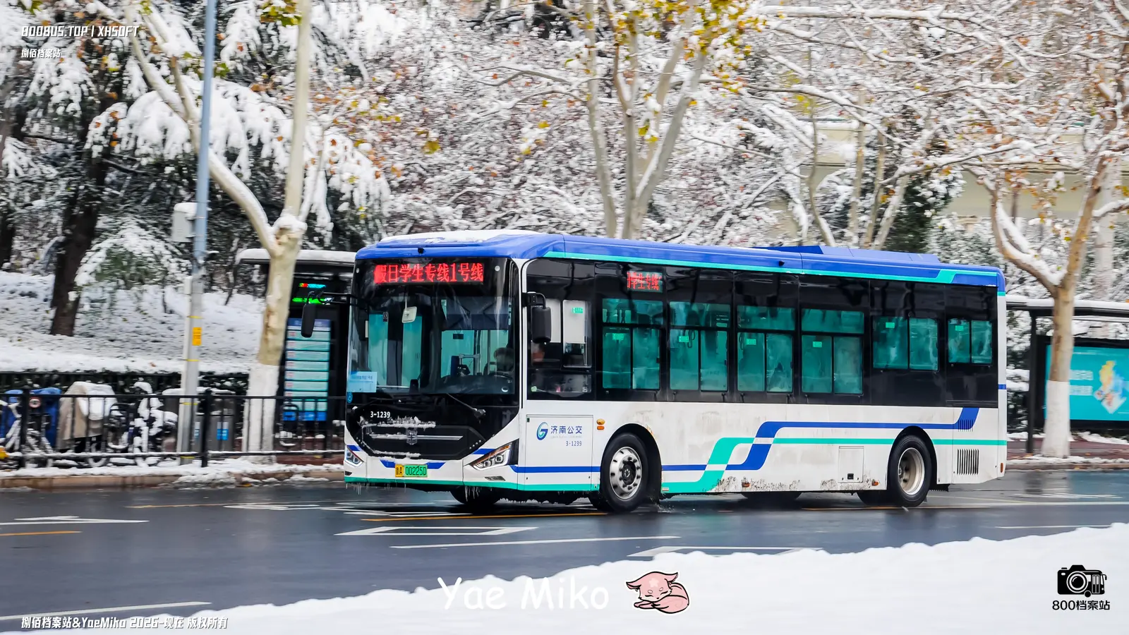 Bus Archive