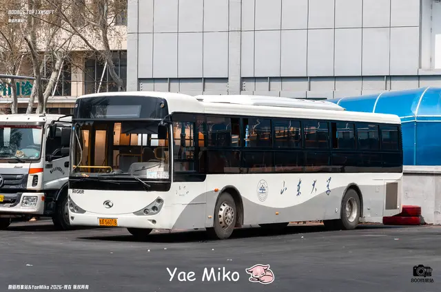 鲁A 56018