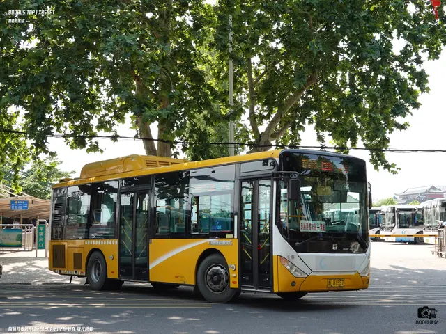 鲁L D1557