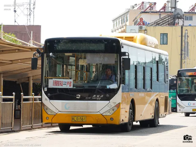 鲁L D1561