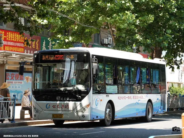 鲁L D6205