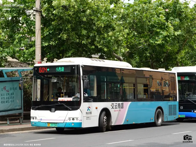 鲁B 19776D
