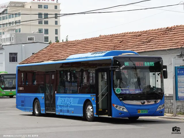 鲁B 08597D