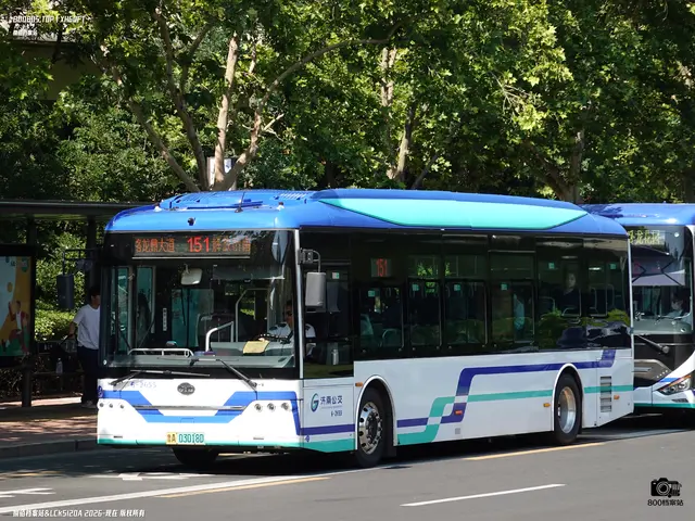 鲁A 03018D