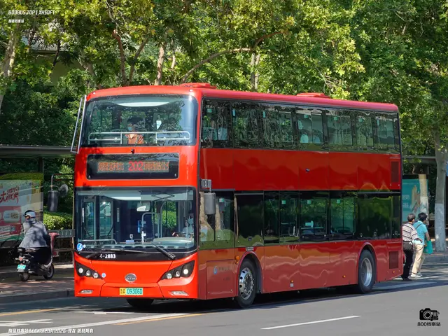 鲁A 09306D