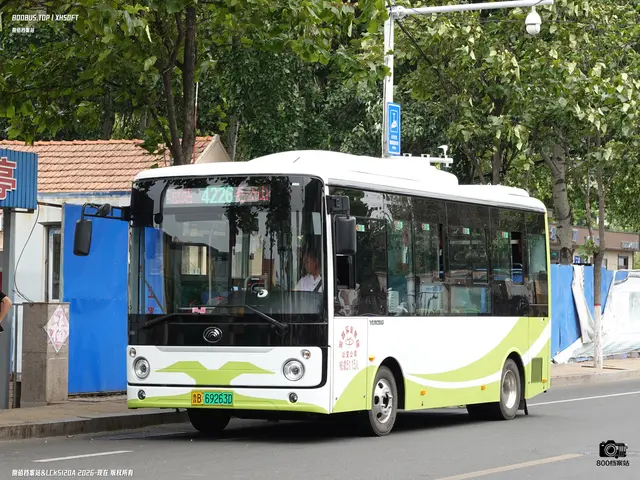 鲁B 69263D