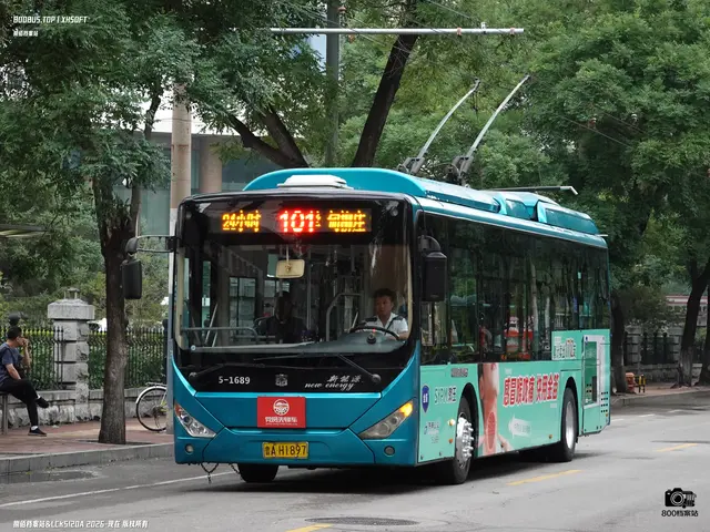 鲁A H1897