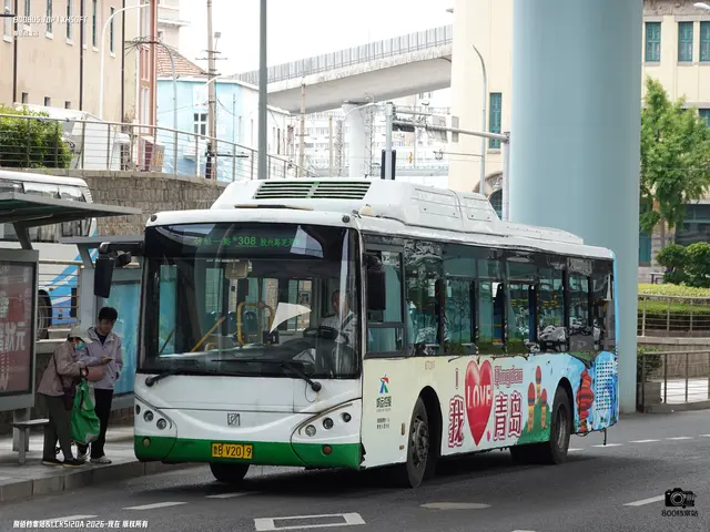 鲁B V2019