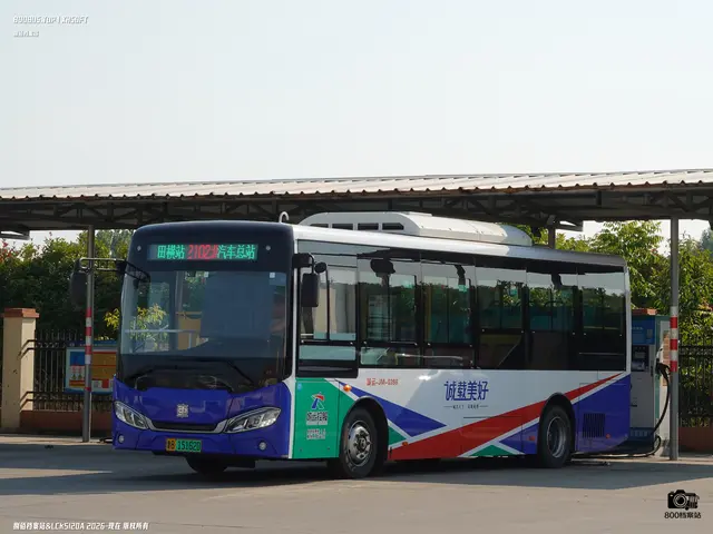 鲁B 15162D