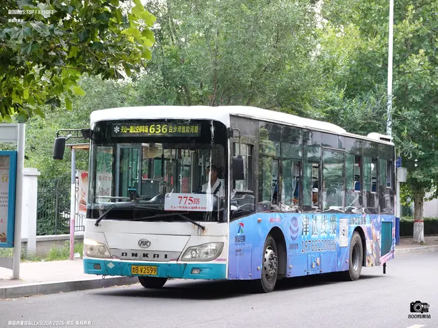 鲁B V2599
