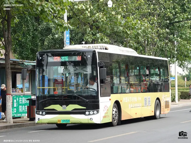 鲁B 19552D