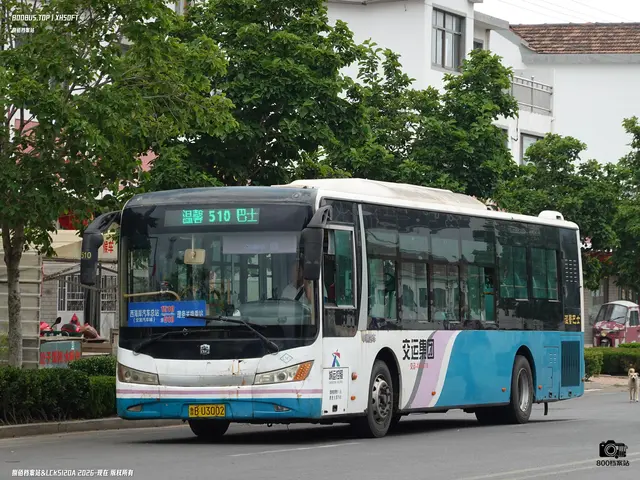 鲁B U3002