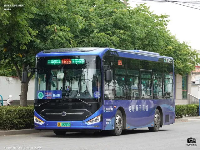 鲁B 18275D